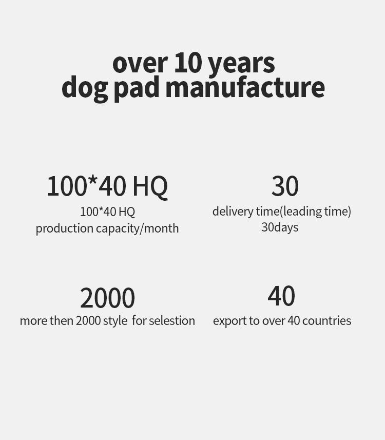 Factory Price Training Pad Super Absorbent Leak-Proof Disposable Dog Training Pad